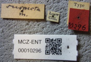 Media type: image;   Entomology 10296 Aspect: labels